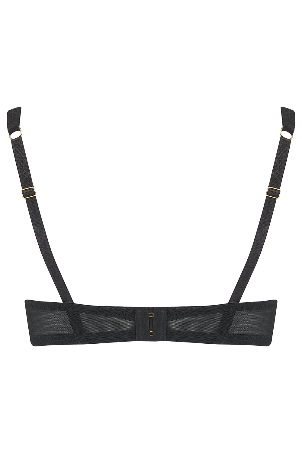 Dahlia Hi Apex Bra