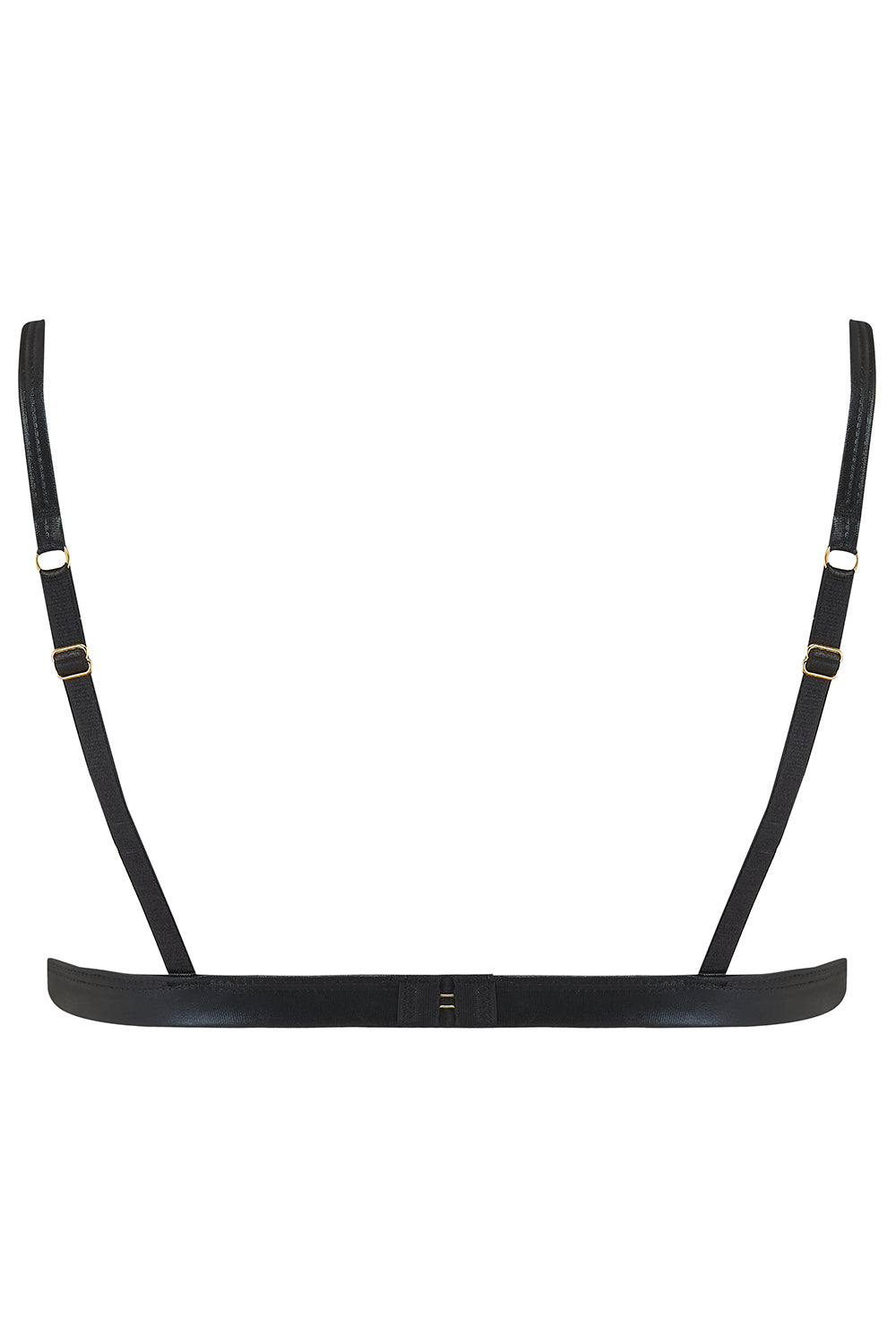 Dahlia Wetlook & Mesh Triangle Bra