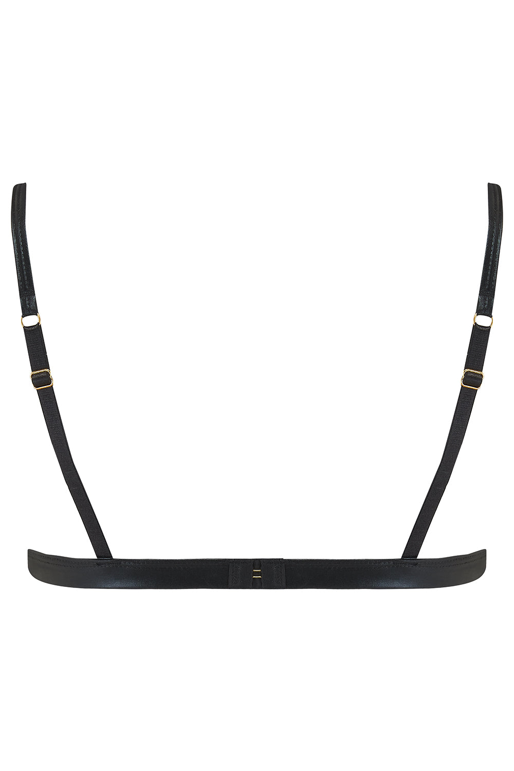 Dahlia Wetlook Triangle Bra