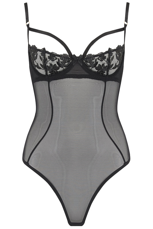 Aster Body