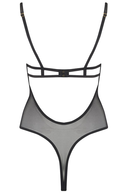Aster Body
