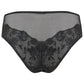 Aster Brief