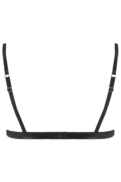 Dahlia Wetlook & Mesh Triangle Bra